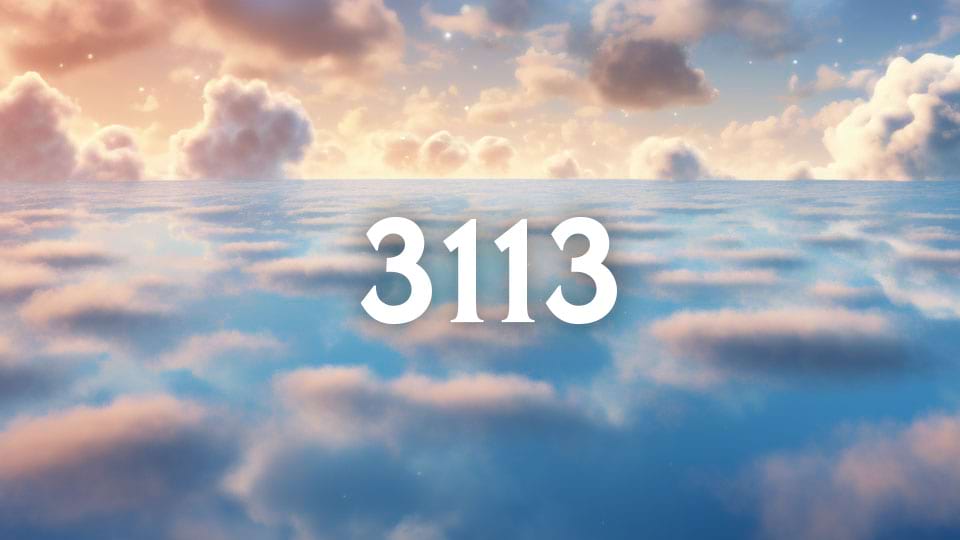 angel number 3113